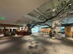 -大视光学•LINDBERG林德伯格•全球手工眼镜集合店(王府井店)