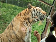 -西安秦岭野生动物园