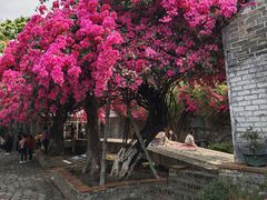 -东莞市可园博物馆