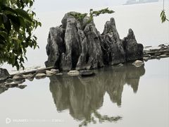 -上海吴淞炮台湾国家湿地公园