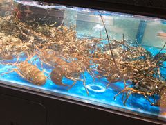 -盒马鲜生(曜一城店)