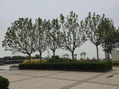 -东疆建设开发纪念公园