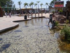 -海上田园