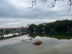 -滴水岩森林公园