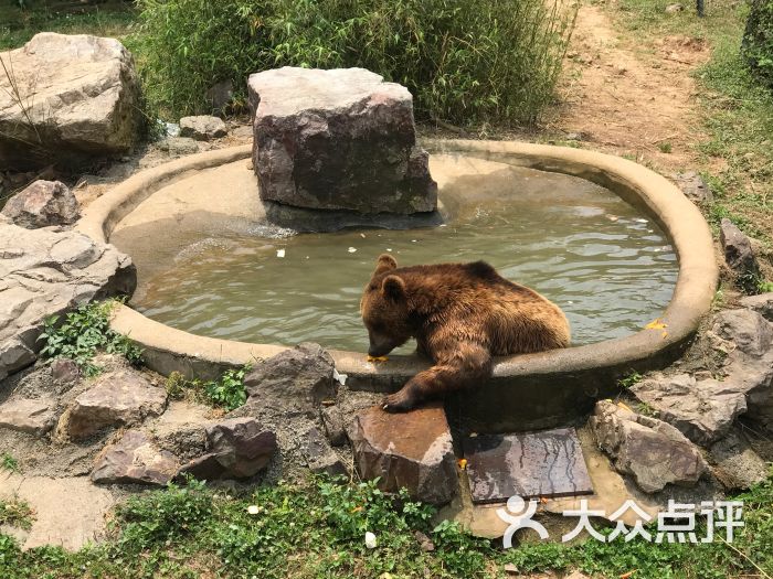 無錫動物園·太湖歡樂園圖片 - 第1張