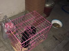 -天津前进宠物医院(前进道店)