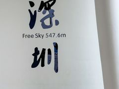 -平安金融中心云际观光层