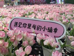 -百万葵园