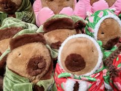 -酷乐潮玩(颛桥万达店)