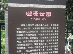 -迎泽公园