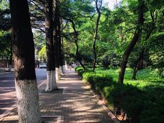 -八大关景区