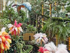 -正佳雨林生态植物园