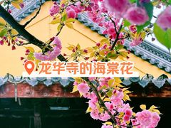 -龙华寺
