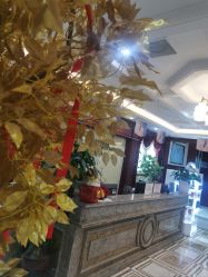 -南京医科大学友谊整形外科医院