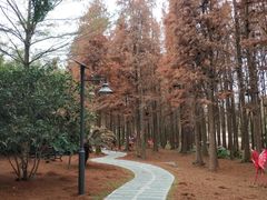 -佛冈森波拉度假区