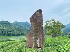 -龙坞茶村