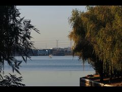 -漕湖湿地公园
