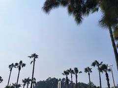 -椰风寨