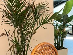 -Aqua Oasis 水天堂(爱山广场店)