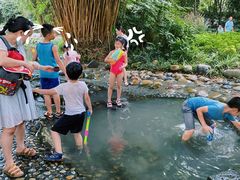 -成都市活水公园