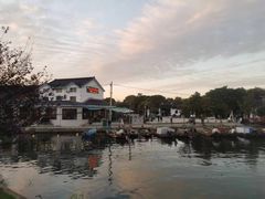 -莲花岛景区