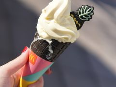 -麦当劳(花园北路店)