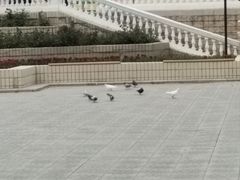 -朝阳公园游乐园