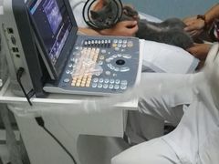 -中农大我爱我爱24h动物医院·中医针灸·猫专科·骨科医疗中心(双井店)