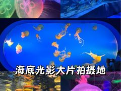 -太平洋海底世界