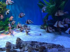 -上海海昌海洋公园-停车场