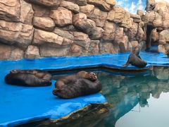 -华夏文旅西安度假区