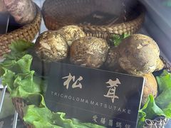 -爱膳菌锅锅(阳南店)