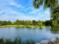 -万柳高尔夫俱乐部