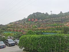 -枇杷园食为鲜火锅(南山店)