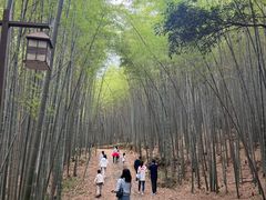 -苏州环秀晓筑养生度假村