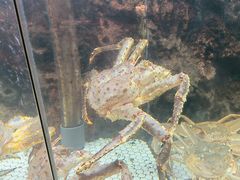 -鱼乐轩·俄罗斯海鲜直供餐厅(群力店)