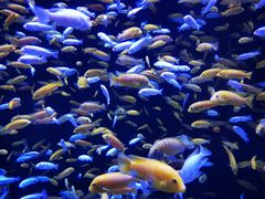 -成都浩海立方海洋公园