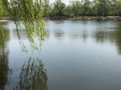 -济南植物园