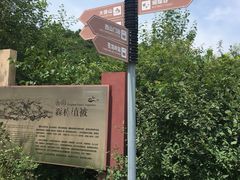 -照金香山旅游景区