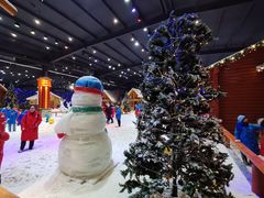 -宁波冰雪大世界(北仑区)