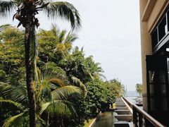 -亚龙湾喜来登·美景台大堂吧
