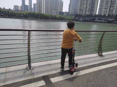 -西北湖绿化广场
