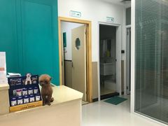 -安安宠医·普外科·内科·心超(佛山同济分院)