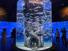 -哈尔滨波塞冬海底世界
