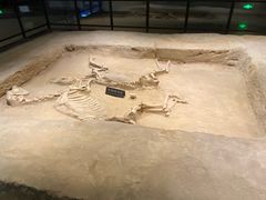 -洛阳周王城天子驾六博物馆