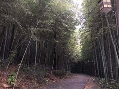-苏州环秀晓筑养生度假村