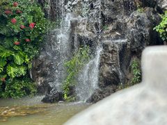 -广东花都湖国家湿地公园