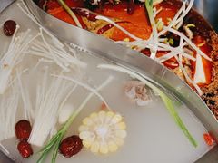 -辣伍鲜毛肚老火锅(元一店)