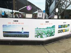 -紫颐香薰山谷景区