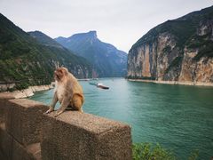 -白帝城·瞿塘峡景区